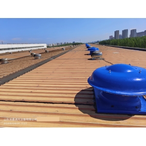 玻璃钢屋顶轴流风机